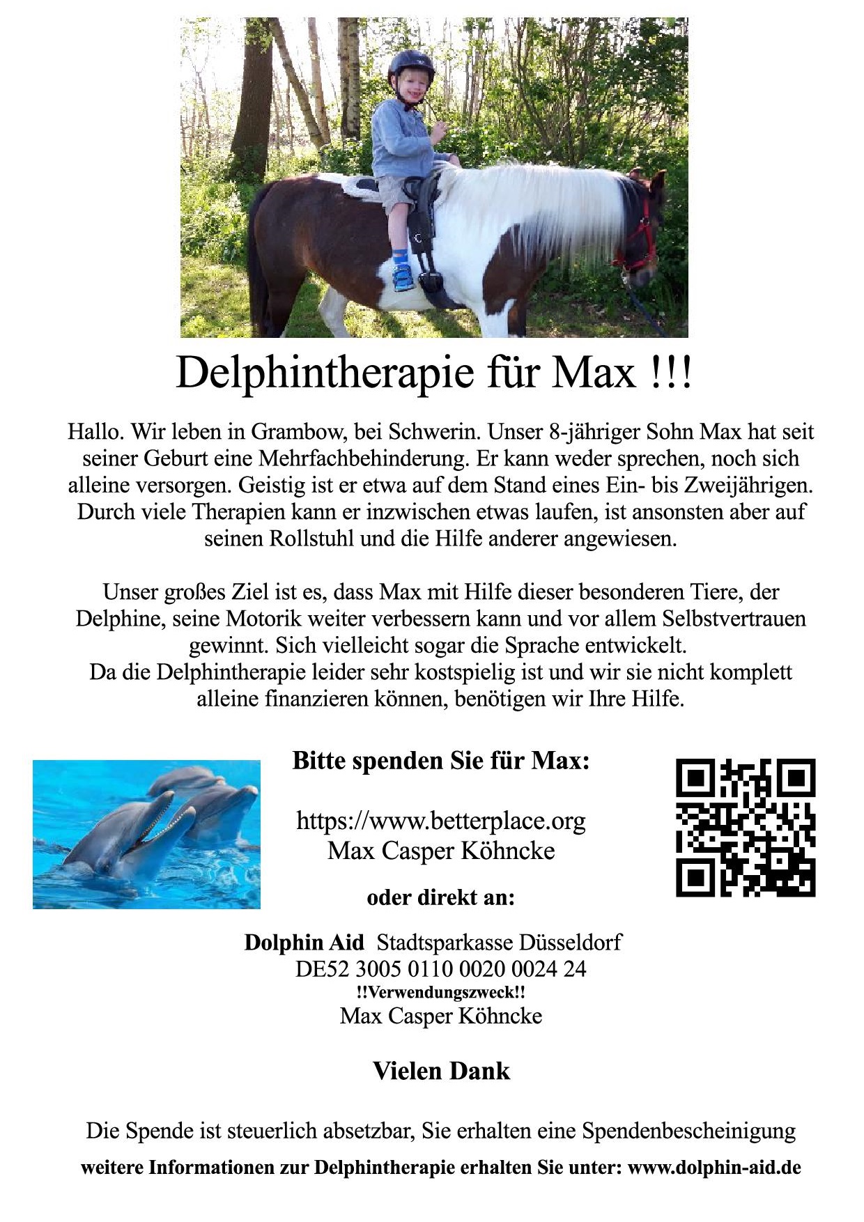 Flyer Delphintherapie